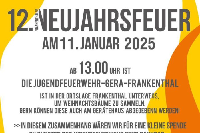 12. Frankenthaler Neujahrsfeuer