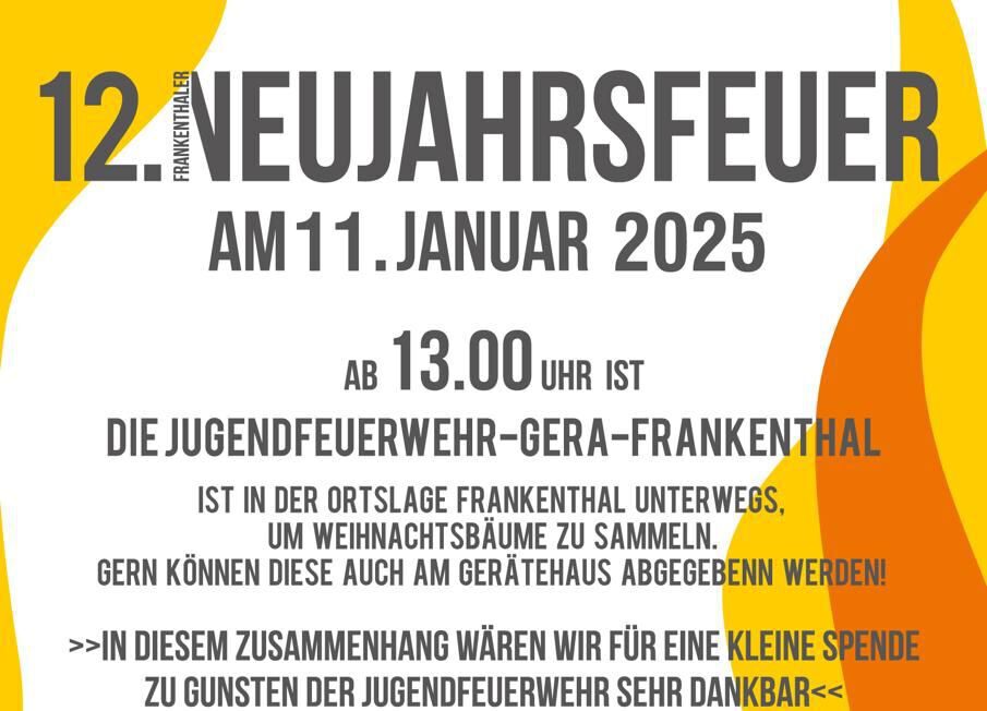 12. Frankenthaler Neujahrsfeuer